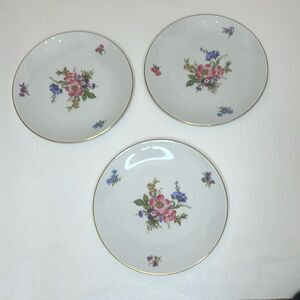 Alboth & Kaiser Bavaria Appetizer Dessert Side Plate Gold Trim 3 White Floral